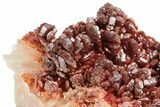 Dark Red Vanadinite Crystals on Barite - Morocco #223676-1